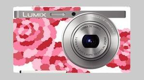 L_and_S (L_and_S)さんのパナソニックのデジタルカメラ「LUMIX」の外装デザインを募集への提案