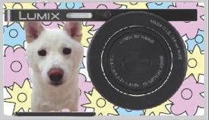 ササキシホ (4ho_)さんのパナソニックのデジタルカメラ「LUMIX」の外装デザインを募集への提案