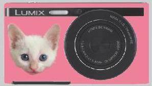 ササキシホ (4ho_)さんのパナソニックのデジタルカメラ「LUMIX」の外装デザインを募集への提案