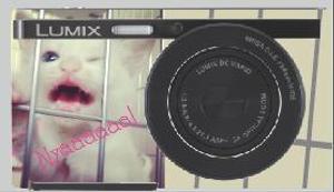 ササキシホ (4ho_)さんのパナソニックのデジタルカメラ「LUMIX」の外装デザインを募集への提案