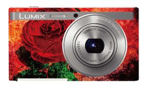 kinokino (kino-kino)さんのパナソニックのデジタルカメラ「LUMIX」の外装デザインを募集への提案
