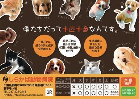 Potiron02さんの事例 実績 提案 動物病院案内チラシ作製 しらかば動物病院さま クラウドソーシング ランサーズ