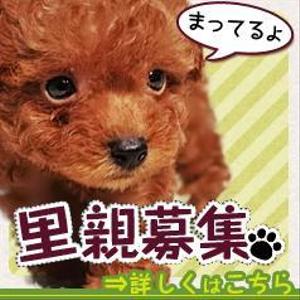 hozumi (hozumi666)さんの犬の里親募集のバナー制作への提案