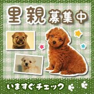 Akiko Arakida (Betty_1102)さんの犬の里親募集のバナー制作への提案