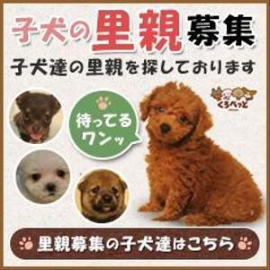 ryonryさんの犬の里親募集のバナー制作への提案