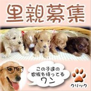 yosuke_22さんの犬の里親募集のバナー制作への提案