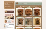 yosuke_22さんの犬の里親募集のバナー制作への提案