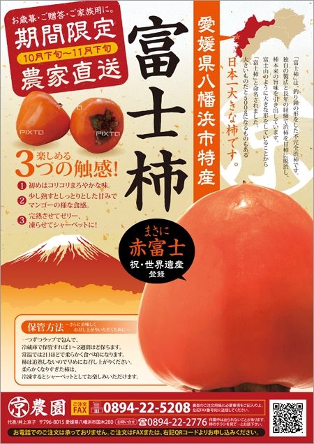 AD_TAKE (adtake)さんの日本一大きな柿・富士柿の通販用チラシへの提案