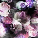 mackerelさんのsupremeの様な花柄パターンへの提案