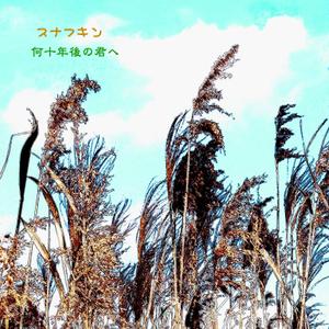 動画・グラフィック・フォトデザイン (goodbyboy)さんのCDジャケット制作依頼！！への提案