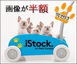 usanekoさんの＜iStockphoto＞のバナーデザイン制作への提案