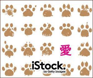 usanekoさんの＜iStockphoto＞のバナーデザイン制作への提案