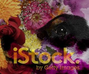 S-DESIGN (simas)さんの＜iStockphoto＞のバナーデザイン制作への提案