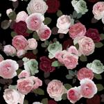 L_and_S (L_and_S)さんのsupremeの様な花柄パターンへの提案