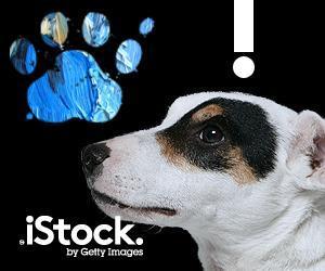 KeroTan (Nine-Lives)さんの＜iStockphoto＞のバナーデザイン制作への提案