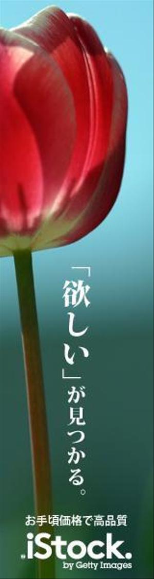 elimsenii design (house_1122)さんの＜iStockphoto＞のバナーデザイン制作への提案