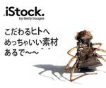 tsmile (tsmile)さんの＜iStockphoto＞のバナーデザイン制作への提案