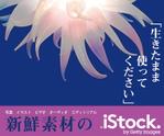 marusenさんの＜iStockphoto＞のバナーデザイン制作への提案