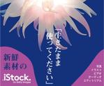 marusenさんの＜iStockphoto＞のバナーデザイン制作への提案