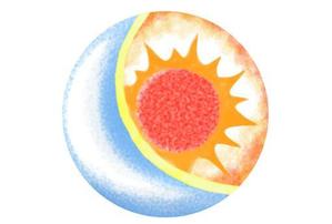 takashi_03さんの結婚式のカード作成への提案