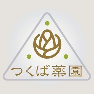 ha_futoさんの【新規開設】専門性の高い漢方薬局のロゴ作成への提案