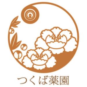 蜂屋 ()さんの【新規開設】専門性の高い漢方薬局のロゴ作成への提案