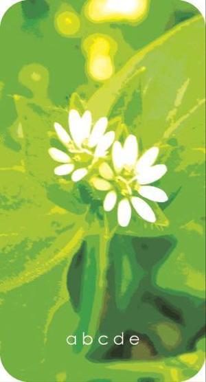 tamago_eightさんのイラスト・グラフィックデザイン (スマートフォンカバー)複数採用有りへの提案