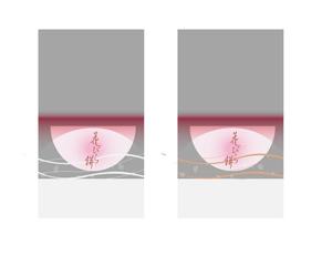 naonami (naotko)さんの花びら餅のパッケージデザイン制作への提案
