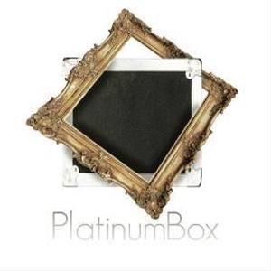 YuukiTsutsumiさんの「【PlatinumBox】ロゴの制作」のロゴ作成への提案