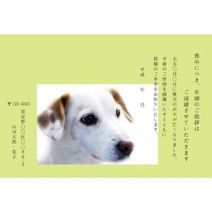 isahaya-rainbow  (isahaya-rainbow)さんのはがきのデザイン　当選は4万円〜　複数採用あり　20点採用予定への提案