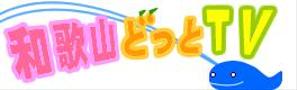 daidaiさんのタウン情報サイトのメインロゴ制作への提案