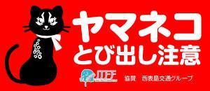 kanacrombieさんのイリオモテヤマネコを守るステッカーのデザインへの提案