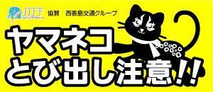 kanacrombieさんのイリオモテヤマネコを守るステッカーのデザインへの提案