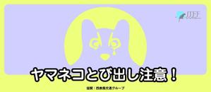shh_createさんのイリオモテヤマネコを守るステッカーのデザインへの提案