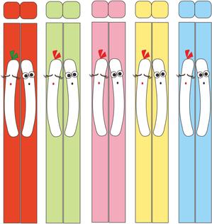 sainou1068さんの箸のデザイン。かわいくてファンシーなもの。への提案