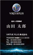 VIRTUEPLUS_06_1.jpg