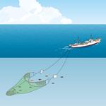 angler (angler)さんの全10点の漁法イラストの作成への提案