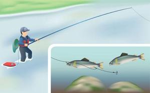 karasu-koubouさんの全10点の漁法イラストの作成への提案