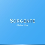 cooldesigner (miyabi03)さんの「sorgente」のロゴ作成への提案