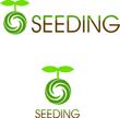 seeding_02.jpg