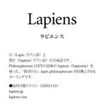 ngdn (ngdn)さんの半導体(LSI)設計会社のネーミングへの提案