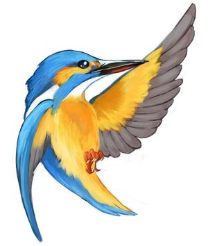 蒼川 ()さんの学習塾で使用するカワセミ（鳥）のイラストへの提案