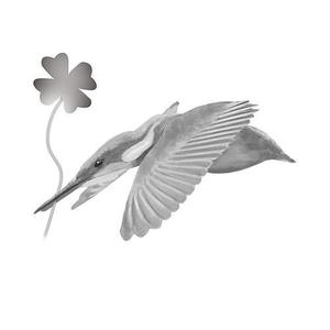 さんの学習塾で使用するカワセミ（鳥）のイラストへの提案