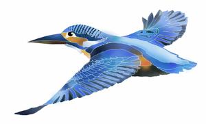 ki-mi  (ki2116)さんの学習塾で使用するカワセミ（鳥）のイラストへの提案