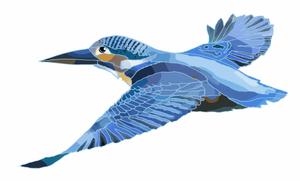 ki-mi  (ki2116)さんの学習塾で使用するカワセミ（鳥）のイラストへの提案