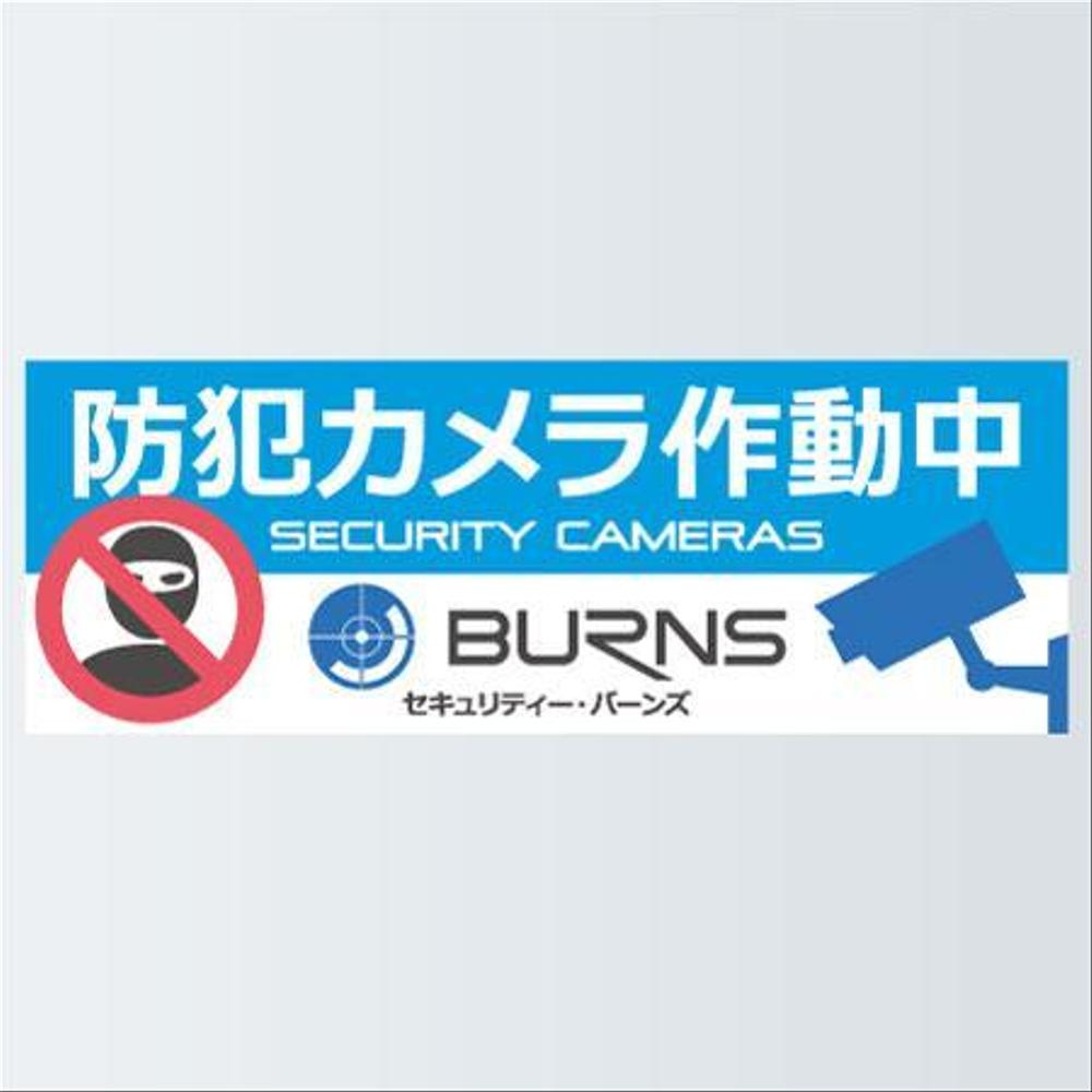 L_BURNS6.jpg