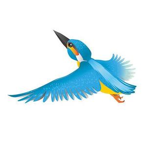吉水 (seiwa)さんの学習塾で使用するカワセミ（鳥）のイラストへの提案