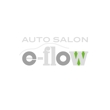 e-flow_arrow.jpg