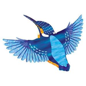 大澤千枝 (donchan226)さんの学習塾で使用するカワセミ（鳥）のイラストへの提案