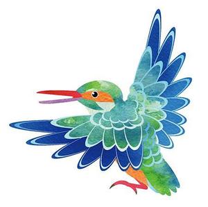 あるい (arui_0525)さんの学習塾で使用するカワセミ（鳥）のイラストへの提案